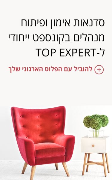 סדנאות אימון ופיתוח מנהלים בקונספט ייחודי ל-TOP EXPERT (1)